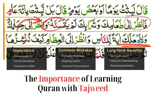 How to Learn the Quran with Tajweed: A Complete Guide